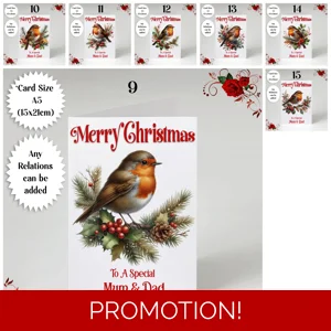 A5 or A4 Personalised Card - Merry Christmas - Robins - Any Relations - D.9-15