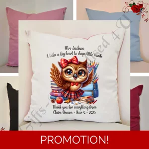 Personalised 16″ Cushion - Owl - Teacher Thank You Leaving Gift - D.1