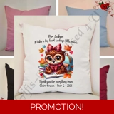 Personalised 16″ Cushion - Owl - Teach..