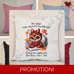 Personalised 16″ Cushion - Owl - Teacher Thank You Leaving Gift - D.2