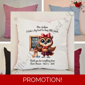 Personalised 16″ Cushion - Owl - Teacher Thank You Leaving Gift - D.3