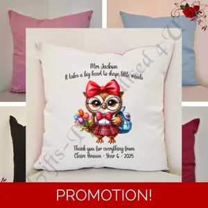 Personalised 16″ Cushion - Owl - Teacher Thank You Leaving Gift - D.4