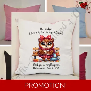 Personalised 16″ Cushion - Owl - Teacher Thank You Leaving Gift - D.5