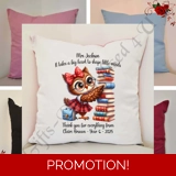 Personalised 16″ Cushion - Owl - Teach..