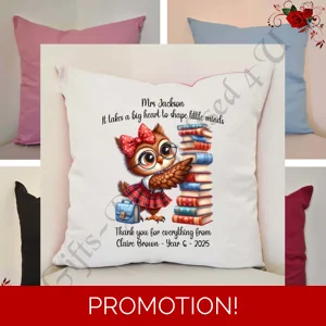 Personalised 16″ Cushion - Owl - Teacher Thank You Leaving Gift - D.6