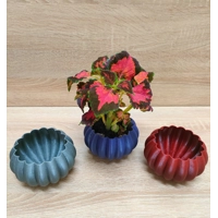 Σετ από 3 Γλάστρες Κολοκύθας με τρύπες αποστράγγισης - Εσωτερικής ή Εξωτερικής Χρήσης