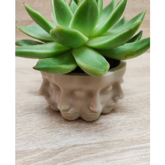 Γλάστρα Βάζο με Πολλαπλά Πρόσωπα / Polyface, 3D Εκτυπωμένη Διακόσμηση Σπιτιού, Διακοσμητικά