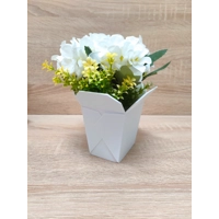 Γλάστρα/Βάζο σε Σχήμα Κινέζικου Πακέτου Φαγητού, 3D Εκτυπωμένη Διακόσμηση Σπιτιού, Διακοσμητικά