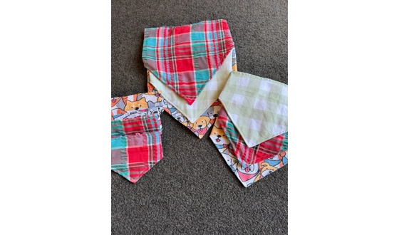 Category Image for Dog Bandana