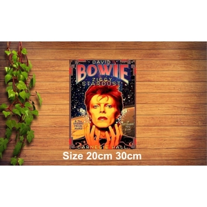Ziggy Stardust Metal Sign