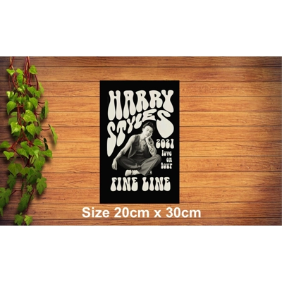 Harry Styles Metal Sign