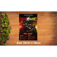 Busted v Mc Fly Metal Sign