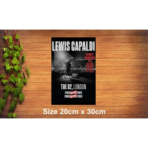 Lewis Capaldi Metal Sign