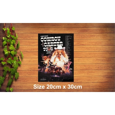 Beyonce Metal Sign