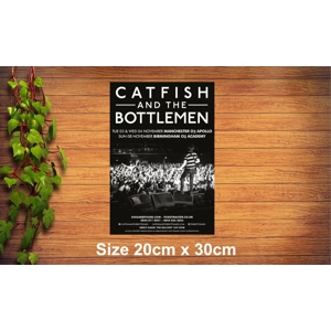 Catfish and the Bottlemen