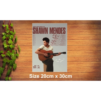 Shawn Mendes Metal Sign
