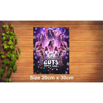 Olivia Rodrigo Metal Sign