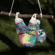 Tommy the Rainbow Sloth