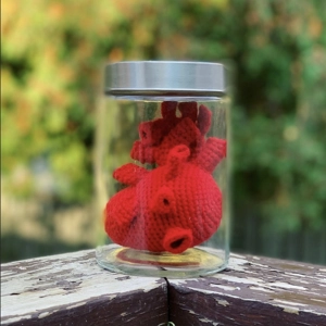 Anatomical Heart