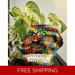 Skull Planter Cover PDF Pattern