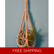 Plant Holder: 200mL PDF Pattern