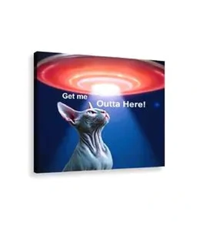 Get Me Outta Here Sphynx Cat Wall Art 36x24 Get Me Outta Here Sphynx Cat Wall Art 36x24