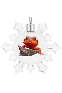 Snowflake He sees ..