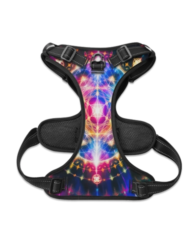 Cosmic Codes Canine L-XL Dog Harness