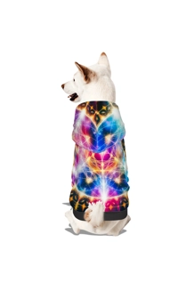 Out of this World Canine Hoodie Out of this World Canine Hoodie