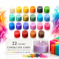 Lwbloom Candle Making Essentials DIY Candle Making Kit – 22 Piece Wax Dye Set for Adults, Candle Cra