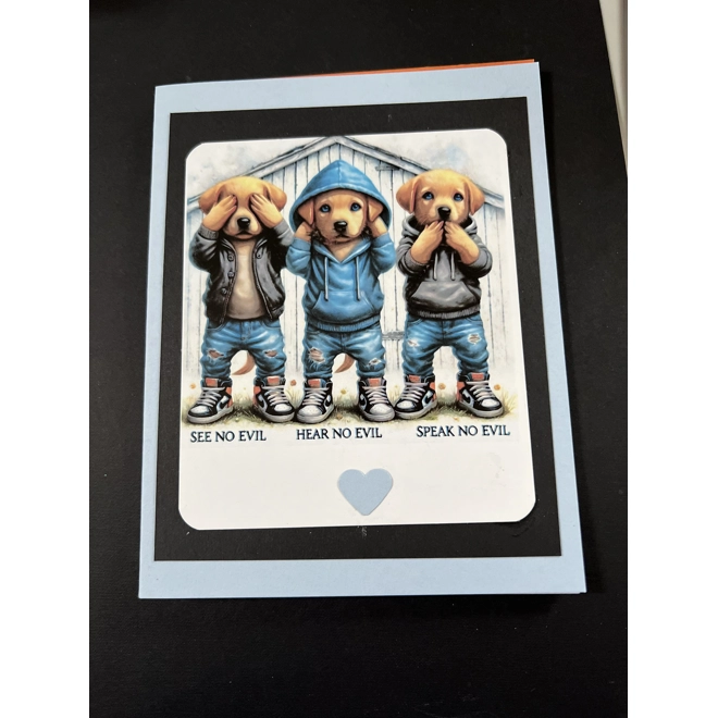 product Image for See no Evil