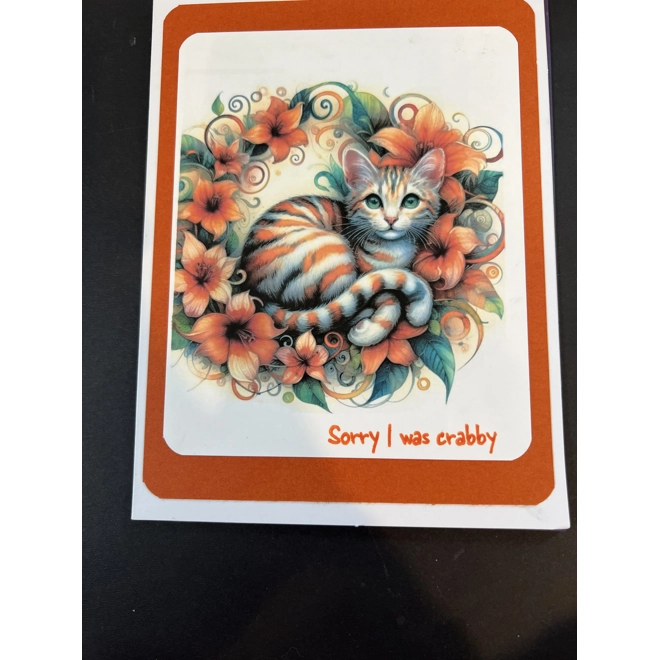 product Image for Sorry I was crabby