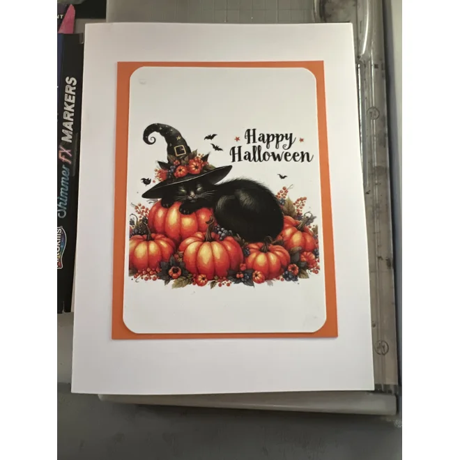 product Image for Halloween Cat/ Pumpkins