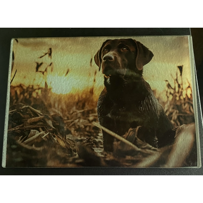 product Image for Lab