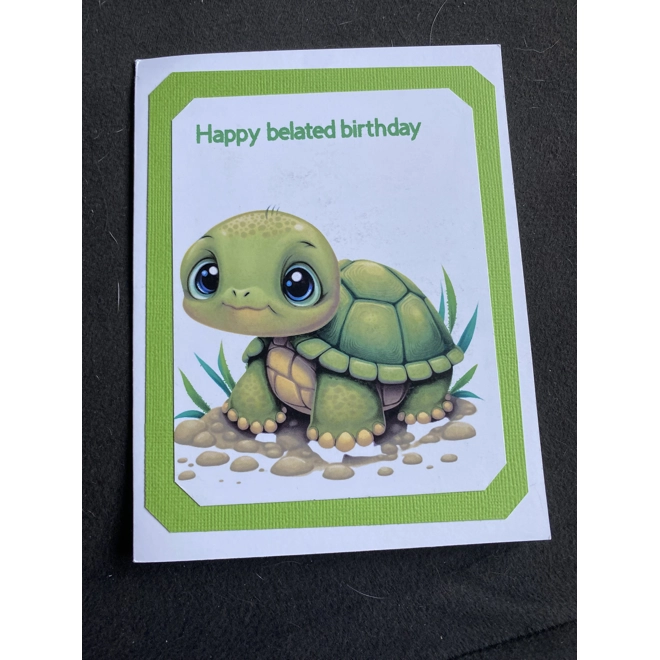 product Image for Belated Turtle