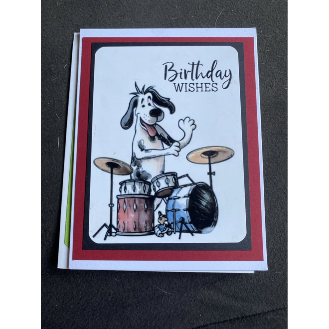 product Image for Drummer Dog