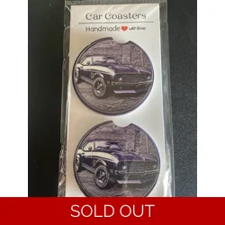 Car coaster