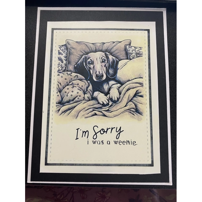 product Image for I’m sorry