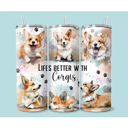 Corgis