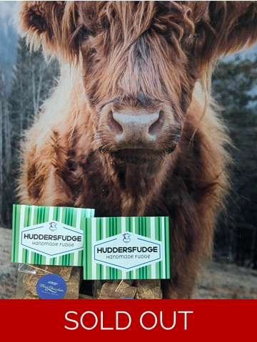 Mint Chocolate Fudge