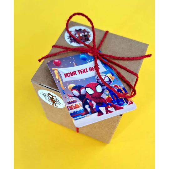 Party Bag in a Box (SPIDEY) | Pre-filled Kids Birthday Favours | Ready Made Party Bags