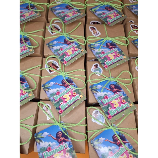 Party Bag in a Box (MOANA) | Pre-filled Kids Birthday Favours | Ready Made Party Bags