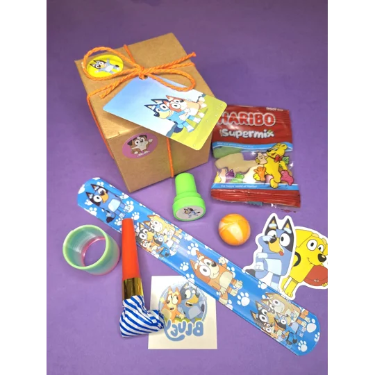 Party Bag in a Box (BLUEY) | Pre-filled Kids Birthday Favours | Ready Made Party Bags