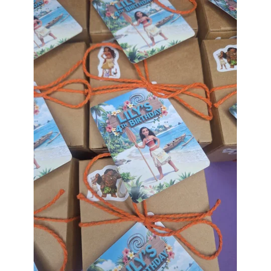 Party Bag in a Box (MOANA) | Pre-filled Kids Birthday Favours | Ready Made Party Bags