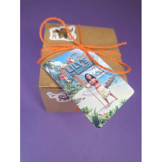 Party Bag in a Box (MOANA) | Pre-filled Kids Birthday Favours | Ready Made Party Bags