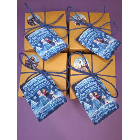 Party Bag in a Box (FROZEN) | Pre-filled Kids Birthday Favours | Ready Made Party Bags