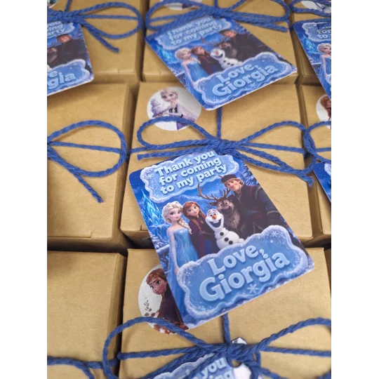 Party Bag in a Box (FROZEN) | Pre-filled Kids Birthday Favours | Ready Made Party Bags