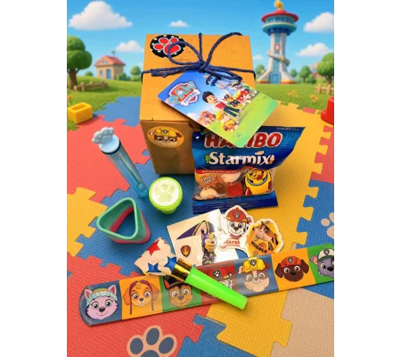 Party Bag in a Box (PAW PATROL) | Pre-filled Kids Birthday Favours | Ready Made Party Bags