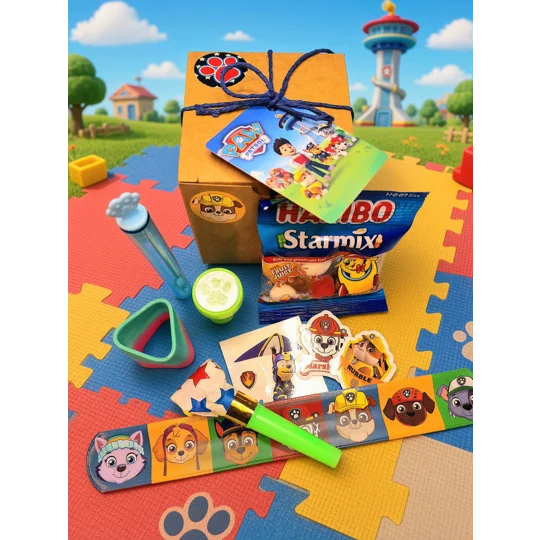 Party Bag in a Box (PAW PATROL) | Pre-filled Kids Birthday Favours | Ready Made Party Bags