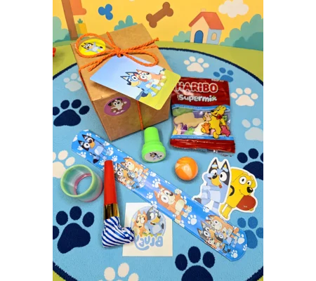 Party Bag in a Box (BLUEY) | Pre-filled Kids Birthday Favours | Ready Made Party Bags